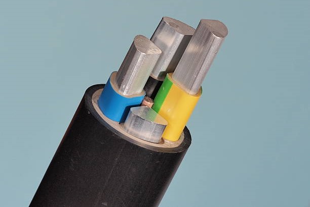 Medium voltage 1kV Aluminum sector cable end with stripped conductors on green background, PVC insulation and black jacket, Melbourne 2015